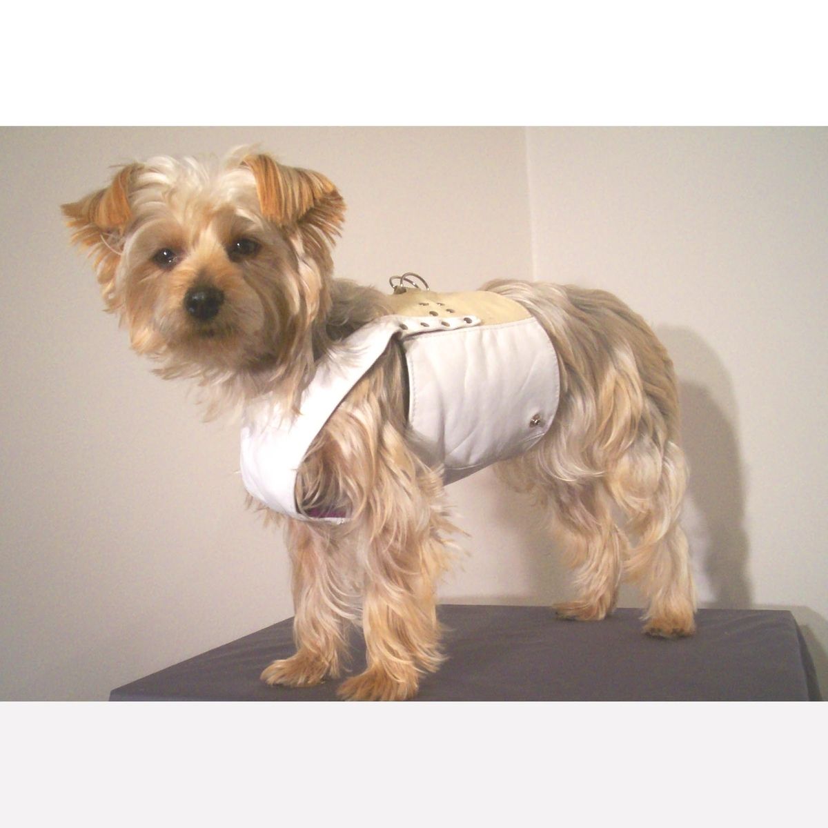 Hand Crafted Leather Dog Coat And Harness by Miguel and Co