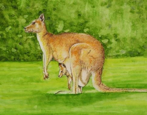 Custom Made Kangaroo Painting