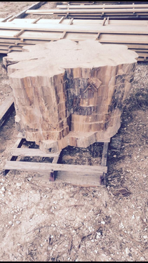 Custom Made Cypress Slabs, Oak Slabs Natural Tree Trunk Shapes