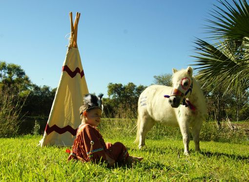 Custom Made Indian Boy Costume