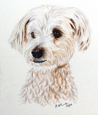 Custom Made Custom Pet Portrait - Original Watercolor Illustration