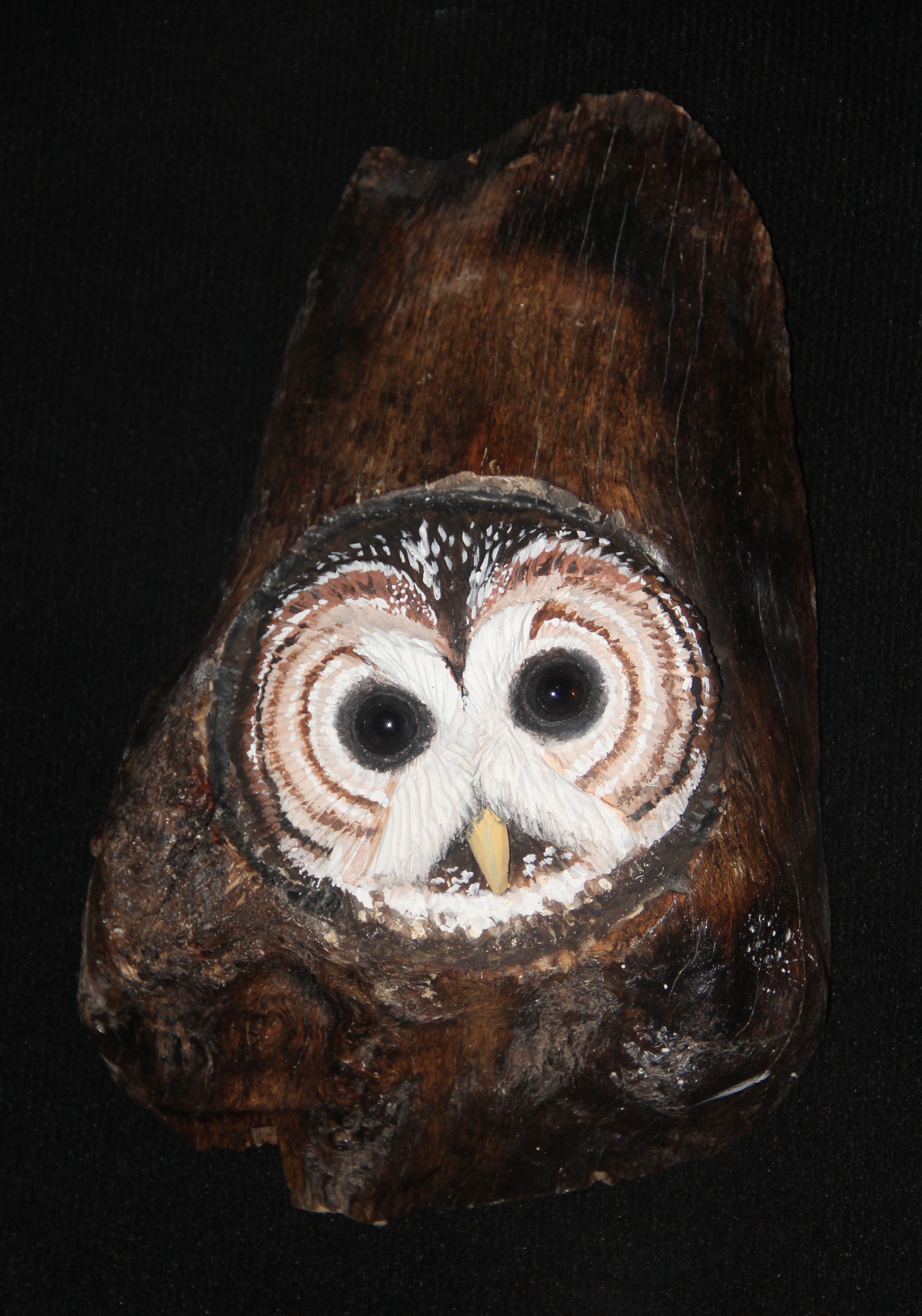 Hand Crafted Owl Wood Wall Carving Sculpture by Donna Maries Art