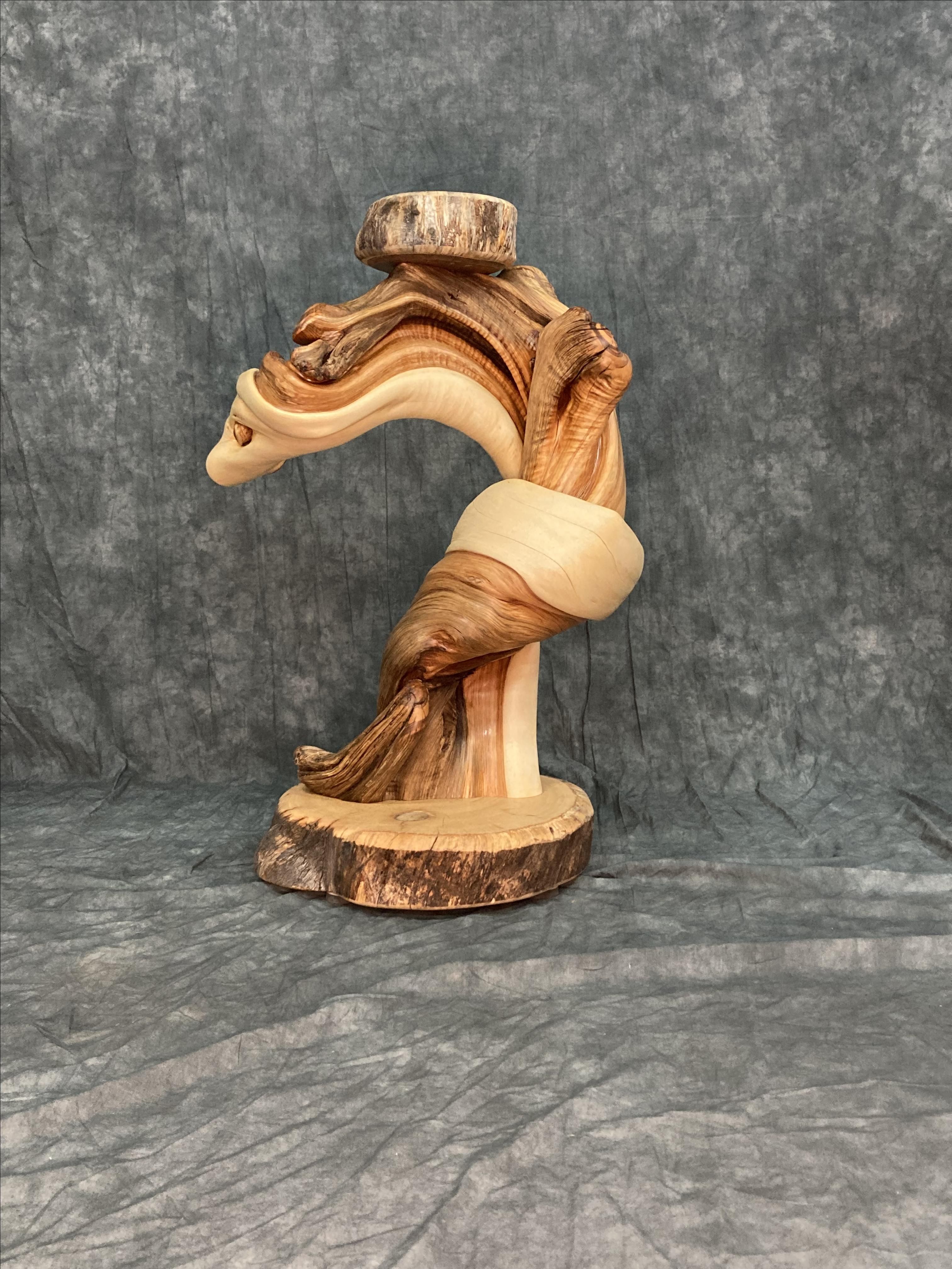 Custom Twisted Juniper Mule Deer Taxidermy Pedestal by Rocky Mountain