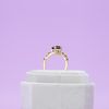 Aanika's Engagement Ring 3