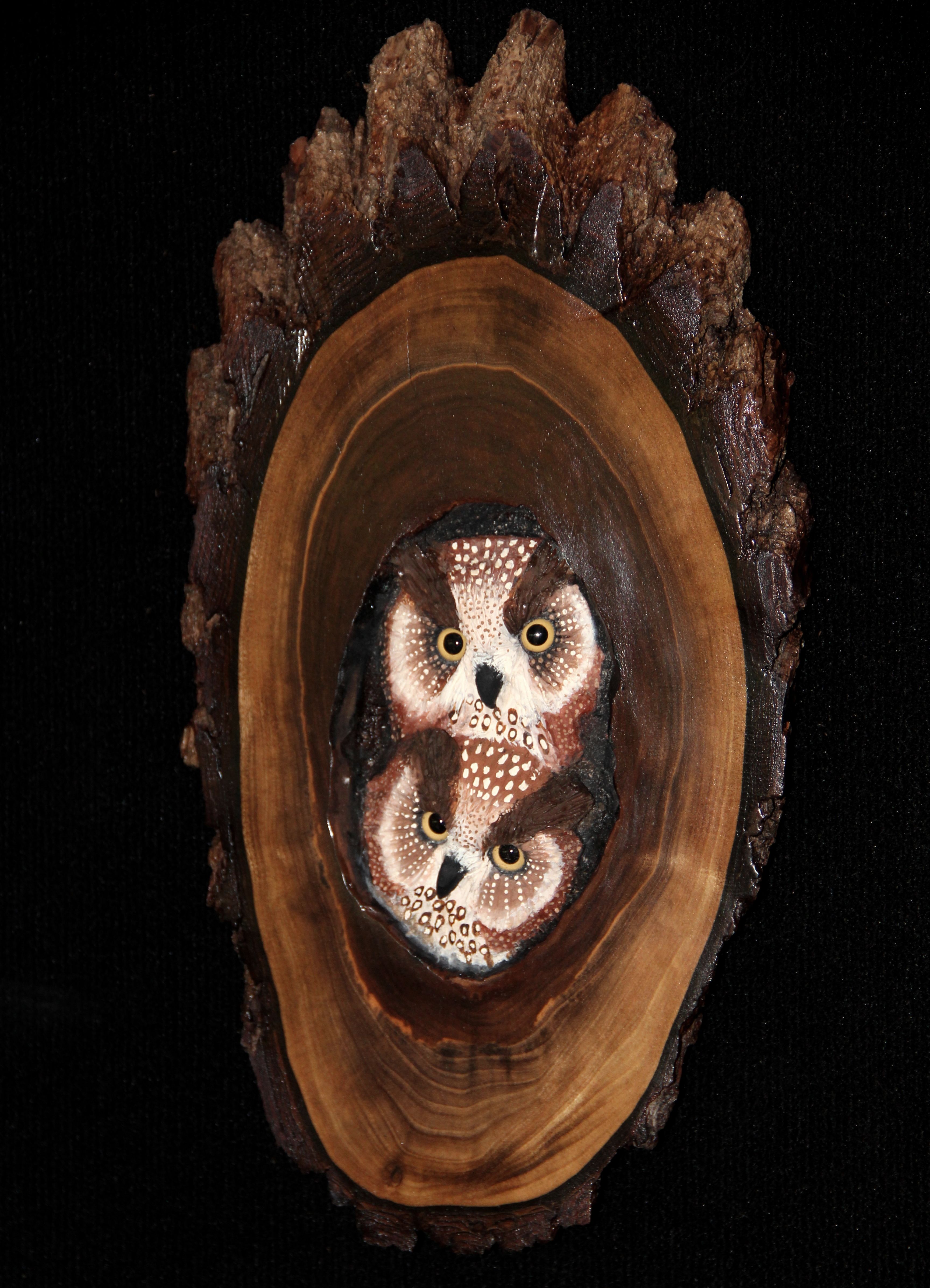Hand Made Wood Owl Wall Sculpture by Donna Maries Art