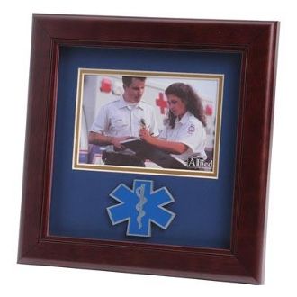 Custom Made Ems Medallion Landscape Picture Frame Is Designed To Hold A 4x6