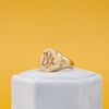 Brecklyn's Signet Ring 2