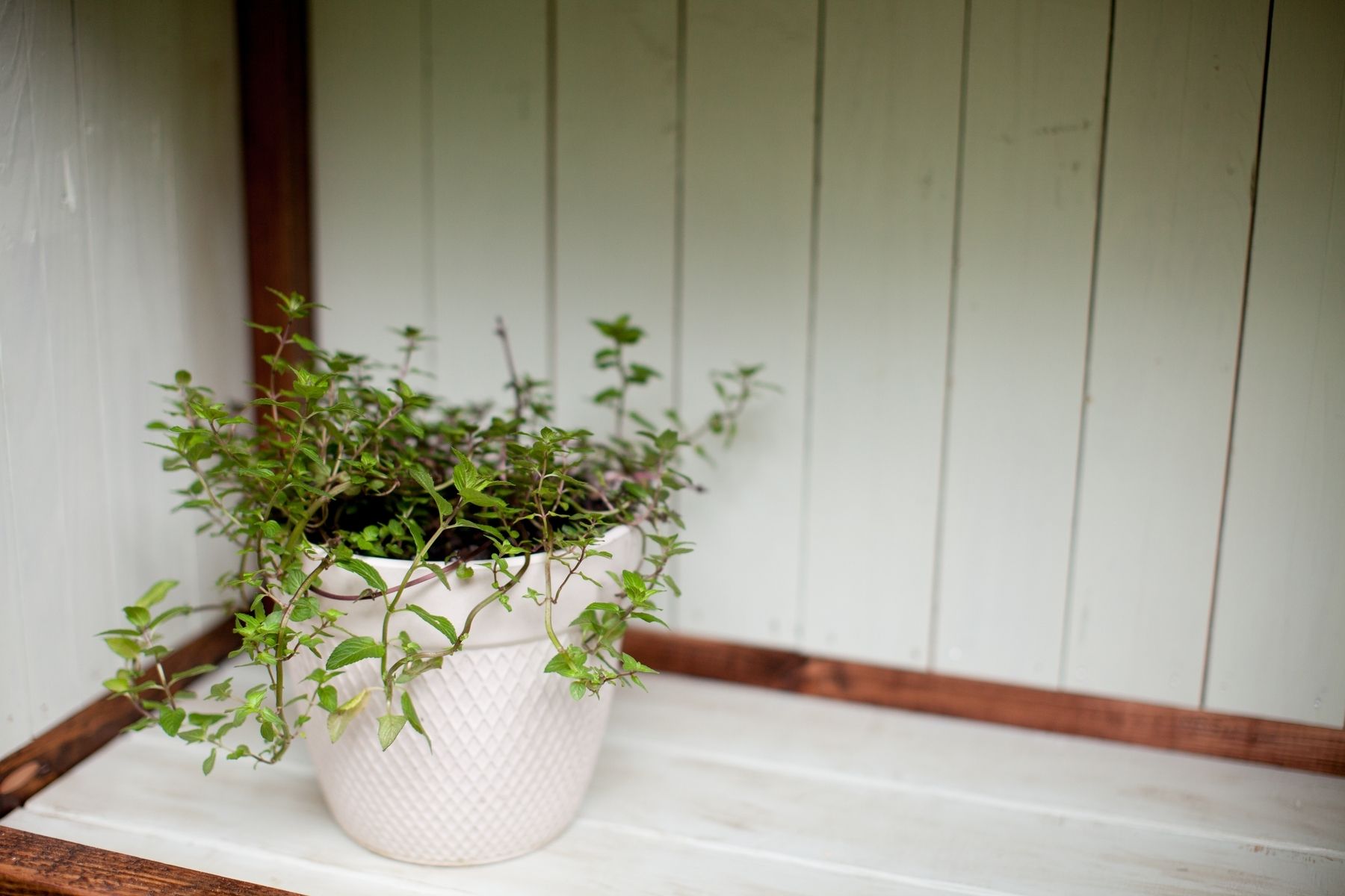 Hand Made Potters Bench by Old North Designs