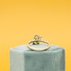 Michael's Engagement Ring 4
