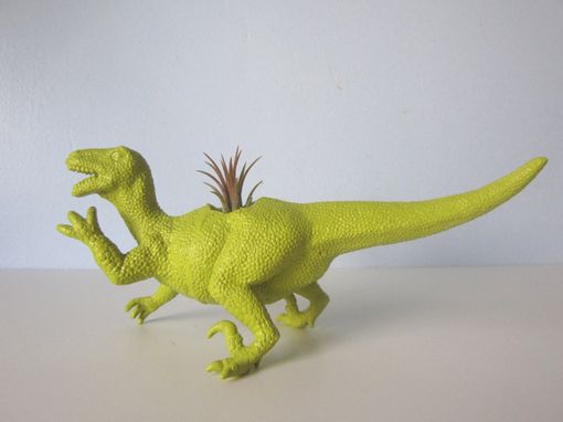 Custom Made Upcycled Dinosaur Planter - Green Raptor With Tillandsia Air Plant