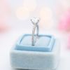 Lauren's Engagement Ring 5