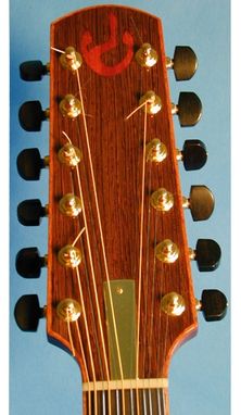 Custom Made Bat Out Of Hell 12 String Resonator Guitar