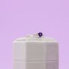Sabrina's Engagement Ring 6