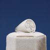 Repeat of Joe's Pendant and Signet Ring 3