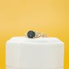 Bri's Engagement Ring 3