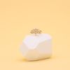 Joseph's Engagement Ring 2