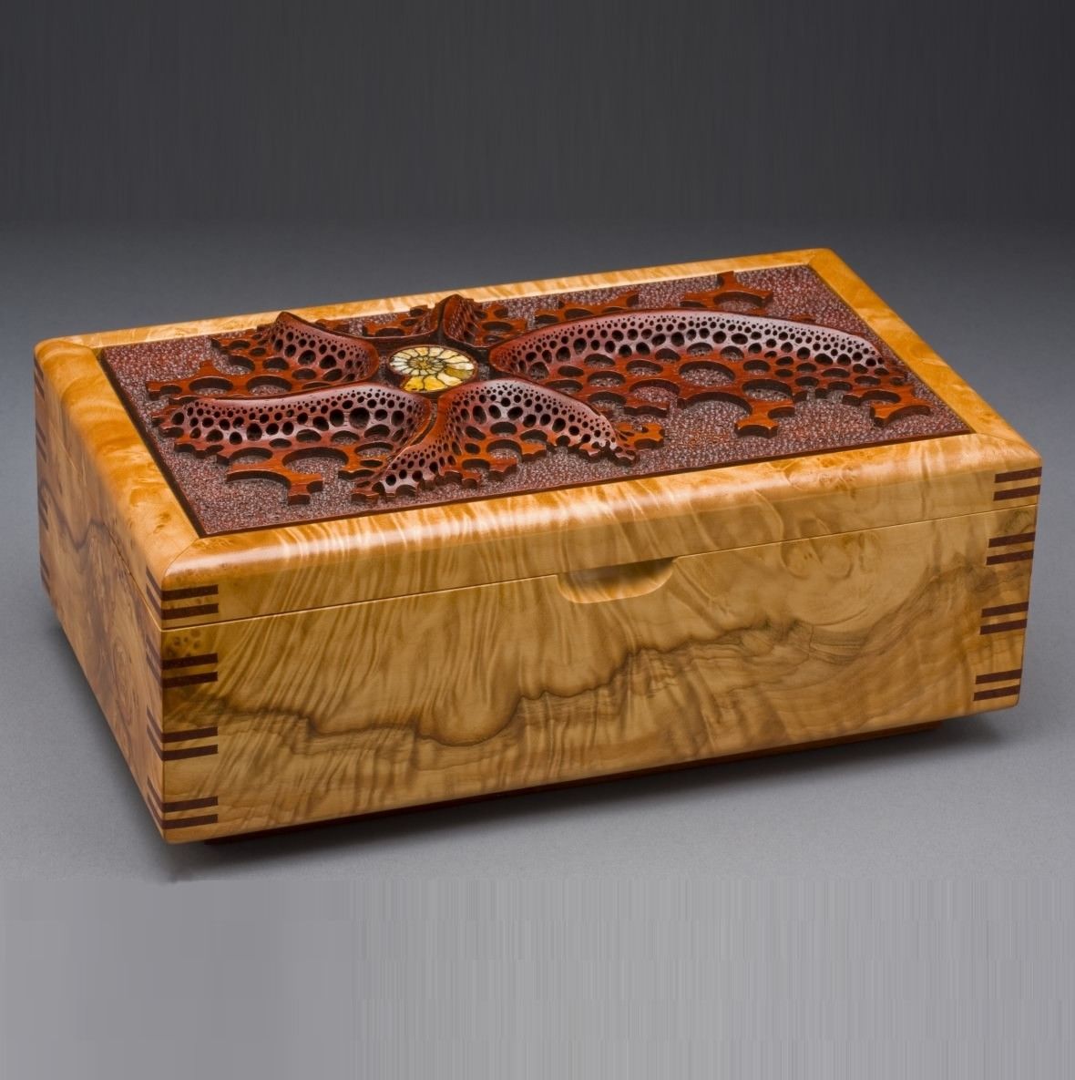 Hand Made Wood Jewelry Box Ammonite by Mark Doolittle 
