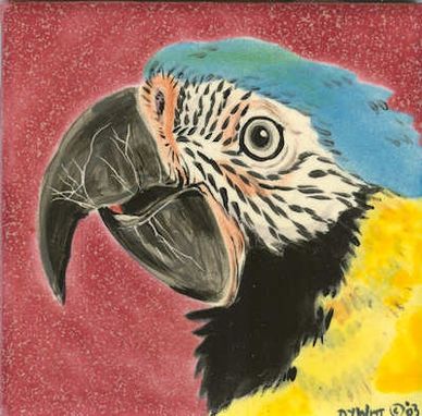 Custom Made Parrots (Tile)