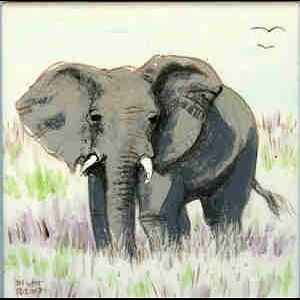 Custom Made African Wildlife Tiles