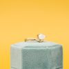 John's Engagement Ring 2