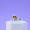 Natalie's Engagement Ring 6