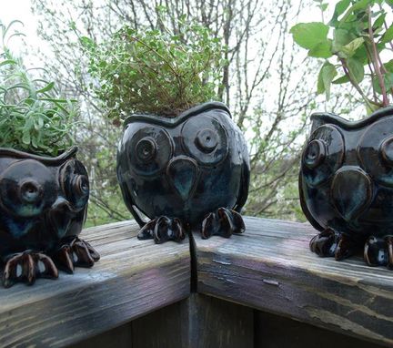 Custom Made Beautiful Ceramic Owls Bowls