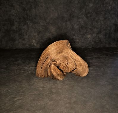 Custom Made Free Stnading Juniper Deadwood Pedestal