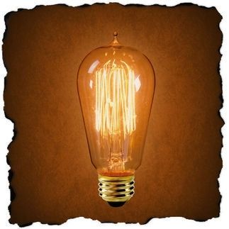 Custom Made Edison Light Bulb Bulb Squirrel Cage Light Bulb Listing For One Bulb