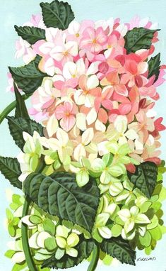 Custom Made Hydrangea Flowers