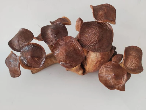 Custom Made Family Mushrooms, Wooden Mushrooms Parasite Wooden Mushrooms