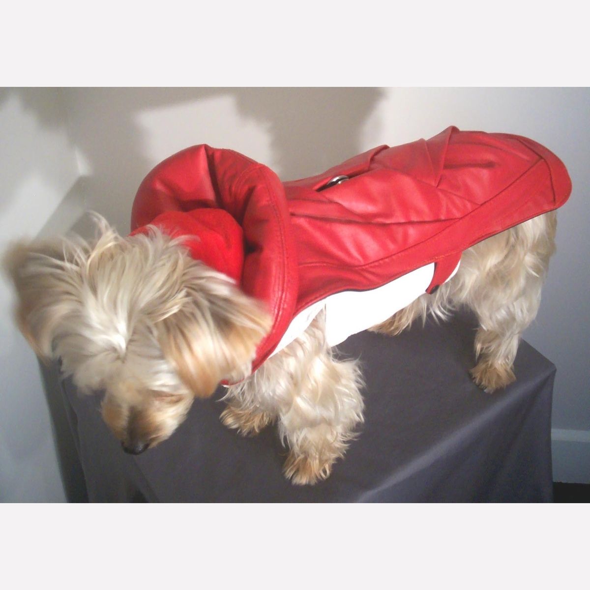 Hand Crafted Leather Dog Coat And Harness by Miguel and Co