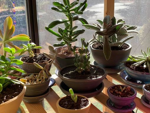 Custom Made Plant Shelf - Custom Dimensions