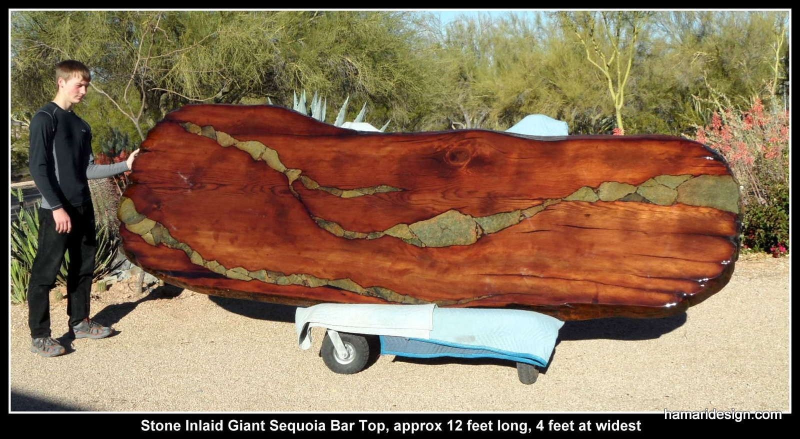 Handmade Live Edge Wood Slab Giant Sequoia / Redwood Bar 