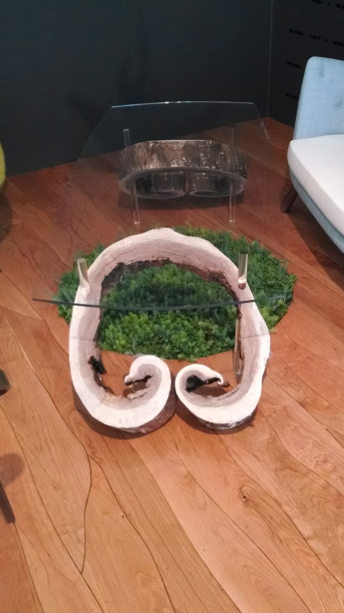 Hand Made Black Walnut Stump Glass Coffee Table by Neevel's Fine