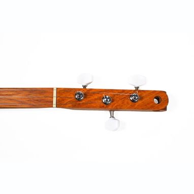 Custom Made Lady & Gent 3-String Dulcitar