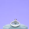 Repeat of McQue's Promise Ring 1