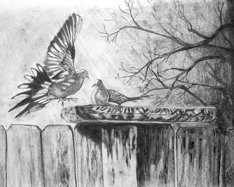 Custom Made Doves Pencil On Paper