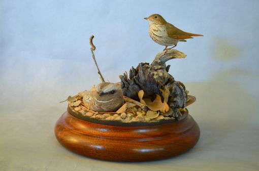 Custom Made Poorwill And Hermit Thrush