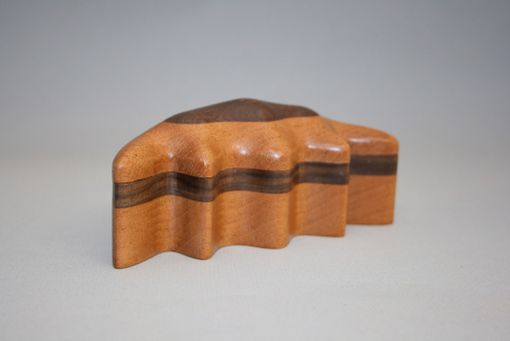 Custom Made Diatom #1 Wooden Box