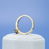 Shamerra's Engagement Ring 2