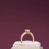 Charlette's Bridal Set 1