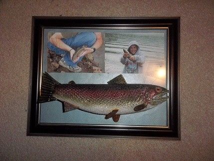 Custom Made 11" Rainbow Trout, Replica Of Child's First Fish.