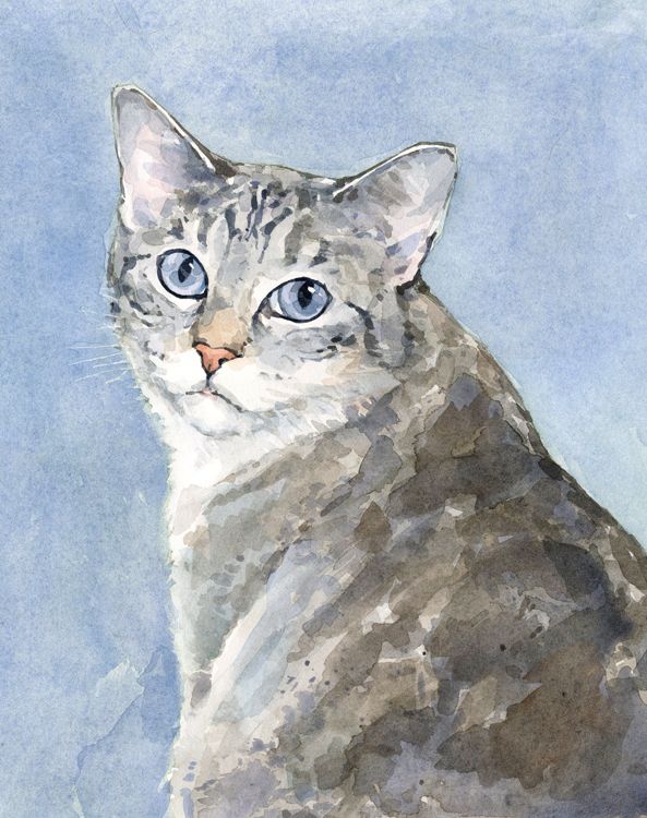 Buy Hand Crafted 8x10 Cat Watercolor Painting, Made To Order From David 