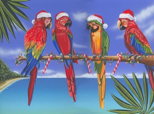 Custom Made Colorful Parrots Of Christmas