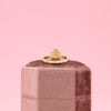 Nida's Engagement Ring 2