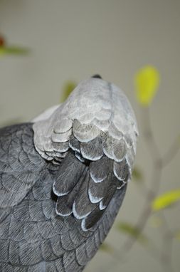 Custom Made Harpy Eagles
