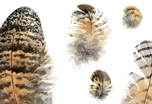 Custom Made Great Horned Owl Feathers Watercolor Illustration