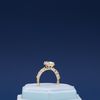 Ian's Engagement Ring 6