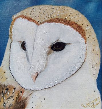 Custom Made Elegant Barn Owl Oil Painting