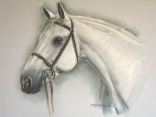 Custom Made Horse Portraits